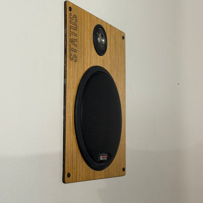 Picture of the German Maestro Status Kit and Flush Grille set mounted on a plate on a wall