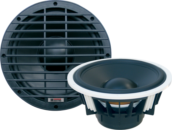 SW 10009 | 10" Free-Air Subwoofer